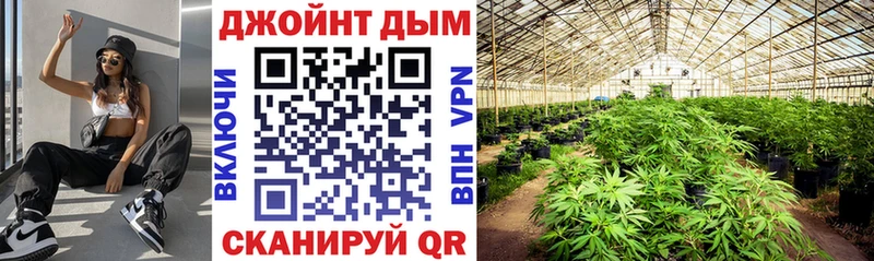 Где купить наркотики Ковдор Cocaine  Галлюциногенные грибы  АМФЕТАМИН  ОМГ ОМГ онион  ГАШИШ  Мефедрон  Конопля  СК 