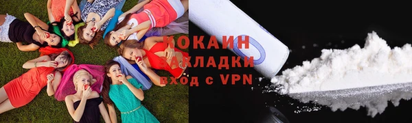 твердый Няндома